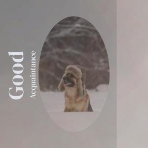 Various的专辑Good Acquaintance