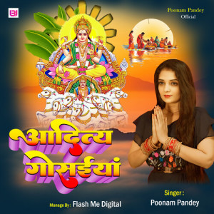 Listen to Aditya Gosaiya song with lyrics from Poonam Pandey