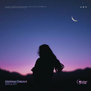 Album Seeking Dream oleh OBLEXX
