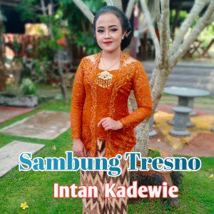 Album Sambung Tresno from 