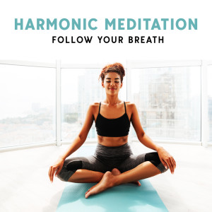 Album Harmonic Meditation (Follow Your Breath, Clear Your Mind Through Mindfulness) from 