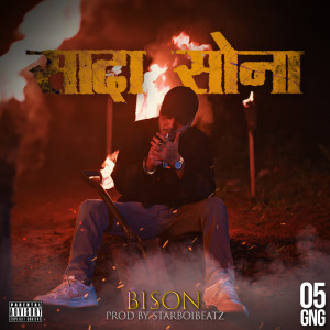 ดาวน์โหลดและฟังเพลง SAADA SONA (Explicit) พร้อมเนื้อเพลงจาก Bison