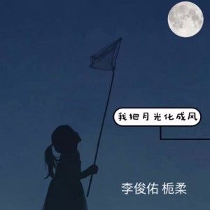Album 我把月光化成风 from 李俊佑