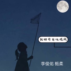 Listen to 我把月光化成风 (伴奏) song with lyrics from 李俊佑
