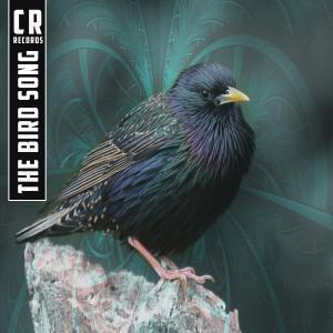อัลบัม The Bird Song ศิลปิน Code Muck