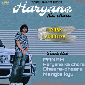 Album Haryane Ka Chora from 