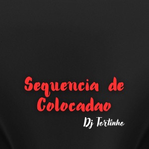 收听Dj Tortinho的Sequencia de Colocadao歌词歌曲