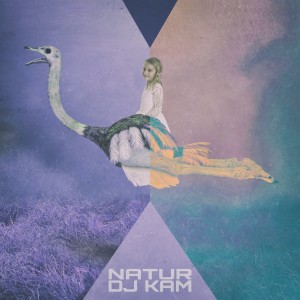 ดาวน์โหลดและฟังเพลง Natur (DJ Mix) พร้อมเนื้อเพลงจาก DJ Kam