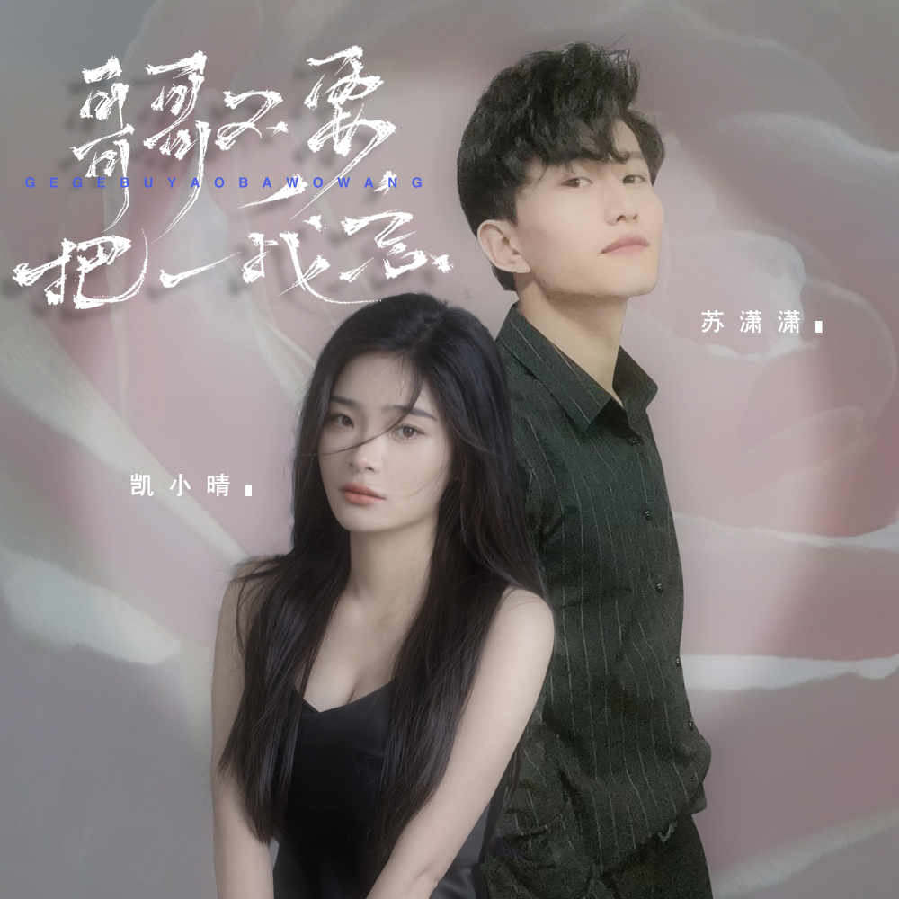 哥哥不要把我忘 (DJ九天版伴奏)