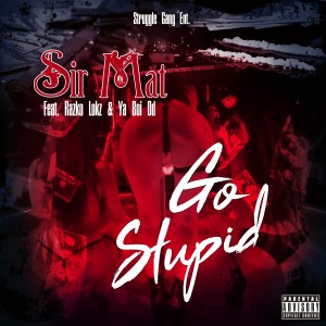 ดาวน์โหลดและฟังเพลง Go Stupid (Explicit) พร้อมเนื้อเพลงจาก Sir Mat