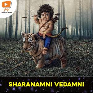 收听Sai Srikanth的Sharanamni Vedamni歌词歌曲
