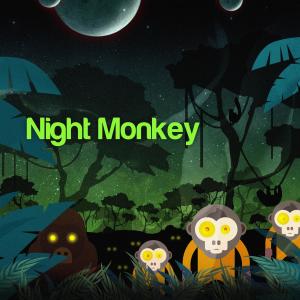 Galaxxy Zoo的專輯Night Monkey
