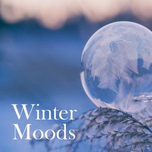 Daniel Hope的專輯Winter Moods