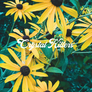 收听Crystal Killers的For Tomorrow (Explicit)歌词歌曲