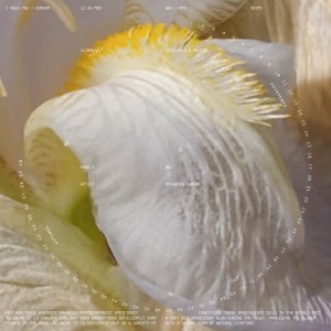 อัลบัม Nix Narcissus ศิลปิน Benjamin Damage