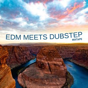Album EDM Meets Dubstep Mixtape from Various