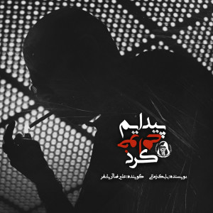 收听Alireza Arianfar的Peydayam Khahi Kard歌词歌曲