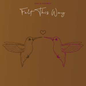 收聽David Correy的Felt This Way (Explicit)歌詞歌曲