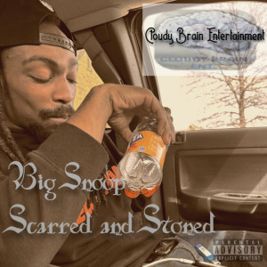 Big Snoop的專輯Scarred and Stoned (Explicit)