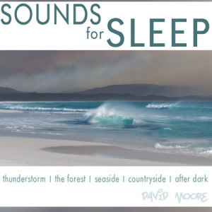 ดาวน์โหลดและฟังเพลง Thunderstorm พร้อมเนื้อเพลงจาก David Moore