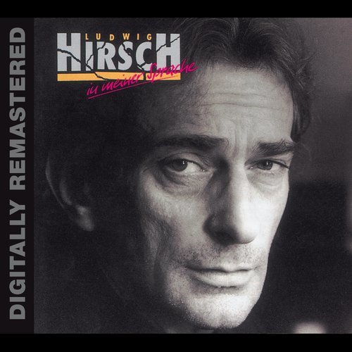 Der fremde Musikant