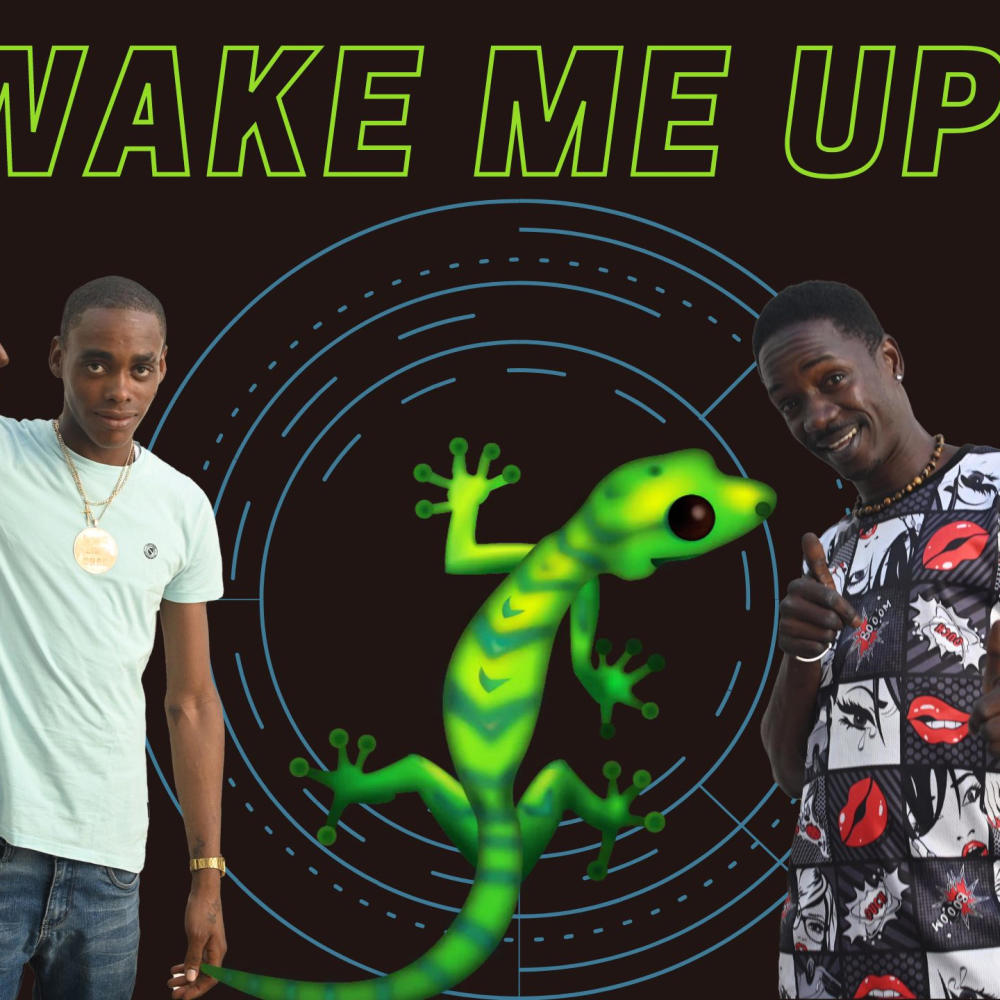 Wake me up (feat. Nice & Gwada G) (Explicit)