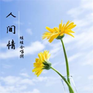 Album 人间情 from 蛙蛙合唱团