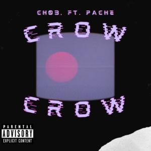 Listen to CROW (feat. Pache) (Explicit) song with lyrics from ch03