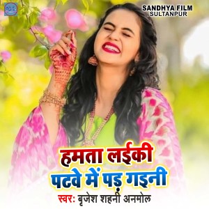 收听Brijesh Shahni Anmol的Hamta Laiki Patwe Me Pad Gaini歌词歌曲
