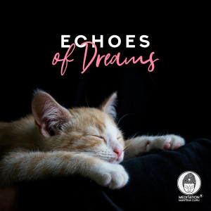 ดาวน์โหลดและฟังเพลง Back to Bed พร้อมเนื้อเพลงจาก Meditation Mantras Guru