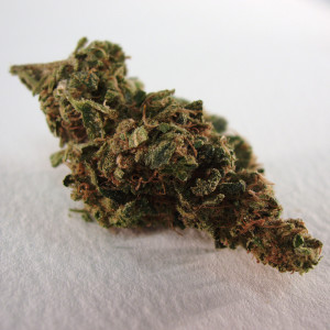 收听Larree的420歌词歌曲