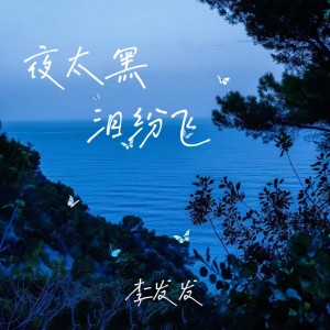 Album 夜太黑 泪纷飞 from 李发发