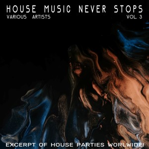 Dengarkan Beautiful Panorama (24 Bit House Party Mix) lagu dari Samm Ferguson dengan lirik