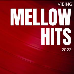 Various Artists的專輯Vibing Mellow Hits 2023