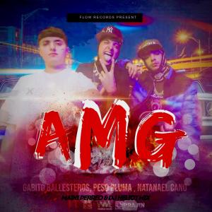 Album A.M.G (feat. Dj Heliot Mix) from Maiki Perreo
