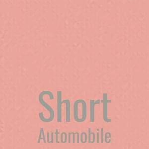 Listen to Short Automobile song with lyrics from Orlane Nollen