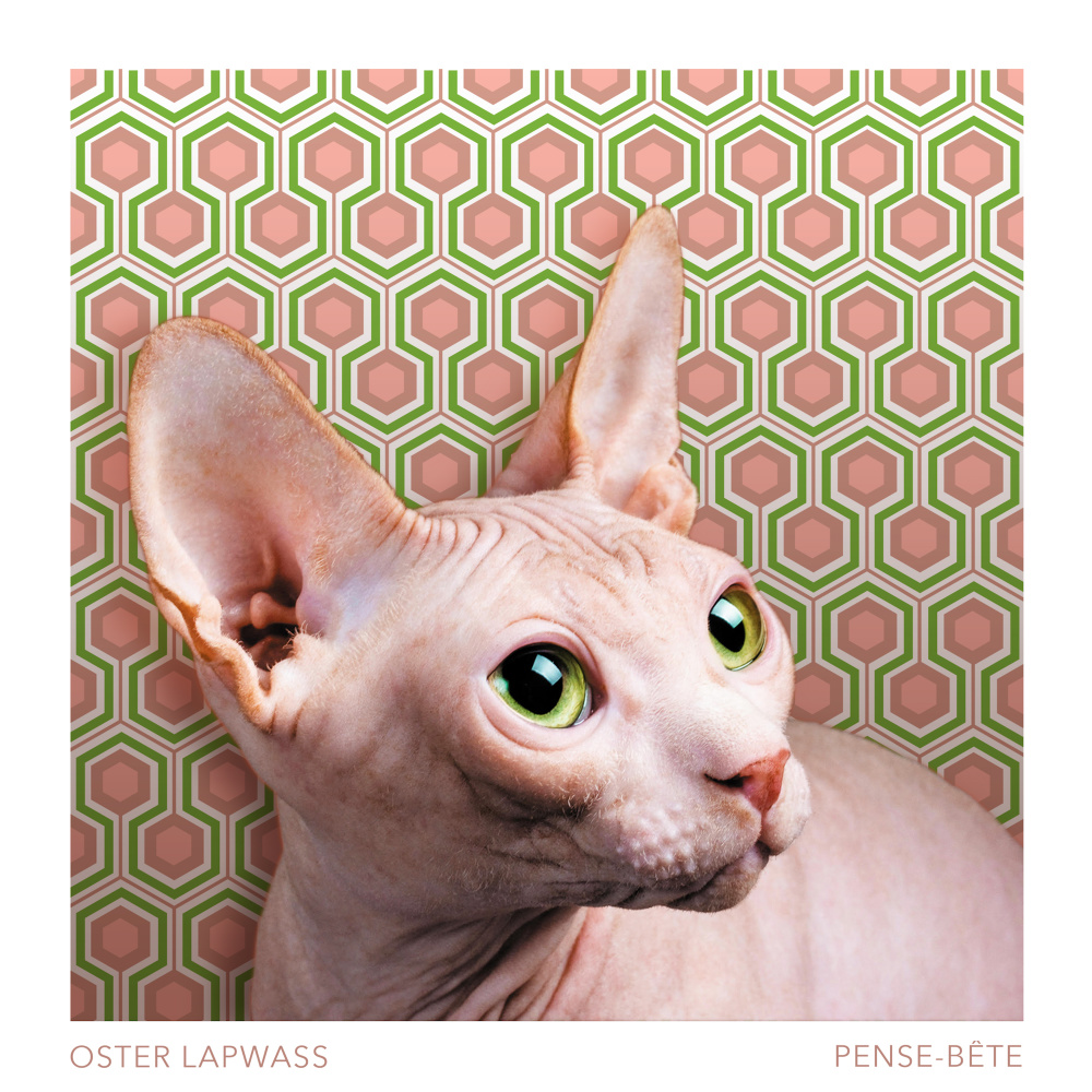 Confortable (feat. Anton Serra) (Explicit)