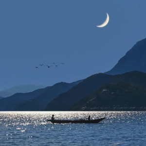 Album 海海海 from 
