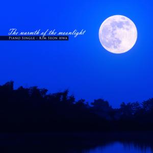 The warmth of the moonlight dari Kim Seonhwa
