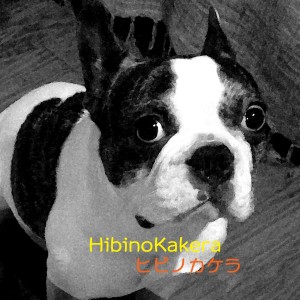 ดาวน์โหลดและฟังเพลง Arigato พร้อมเนื้อเพลงจาก HibinoKakera