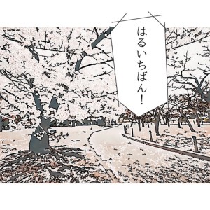 Album Haruichiban oleh Boyish