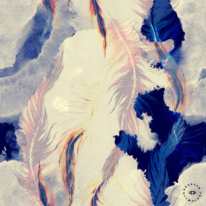 Listen to Feathers song with lyrics from Hippo Dreams
