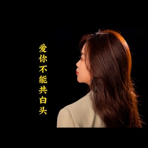 Album 爱你不能共白头 from 小粉