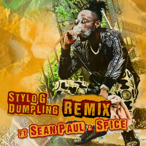 ดาวน์โหลดและฟังเพลง Dumpling (Remix|Explicit) พร้อมเนื้อเพลงจาก Stylo G