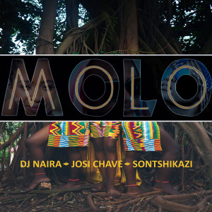 DJ Naira的專輯MOLO (feat. Sontshikazi)