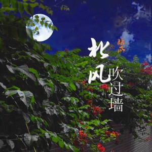 Album 北风吹过墙 from 糖瓜