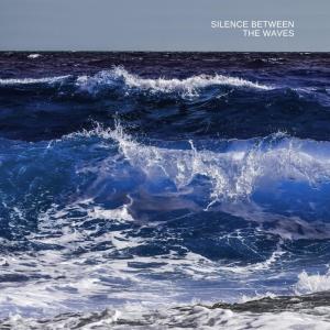 Silence between the Waves (Live at Desevedavy)