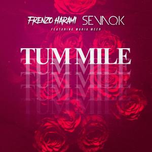 Album Tum Mile oleh Sevaqk