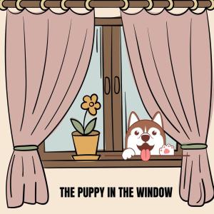 อัลบัม The Puppy in the Window ศิลปิน The Harp Players