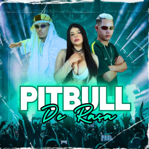 อัลบัม Pitbull de Raça (Explicit) ศิลปิน DJ Juninho da Vs